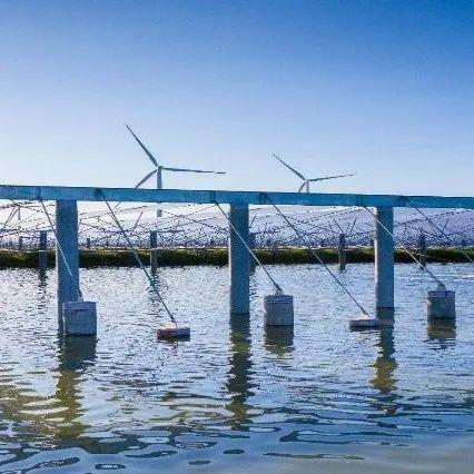 男女羞羞视频大全免费