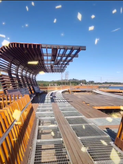 免费观看成人羞羞视频网站