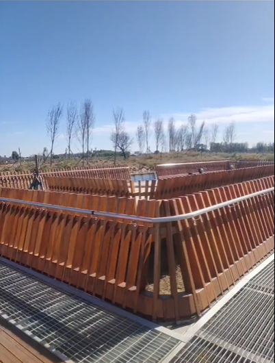 免费观看成人羞羞视频网站