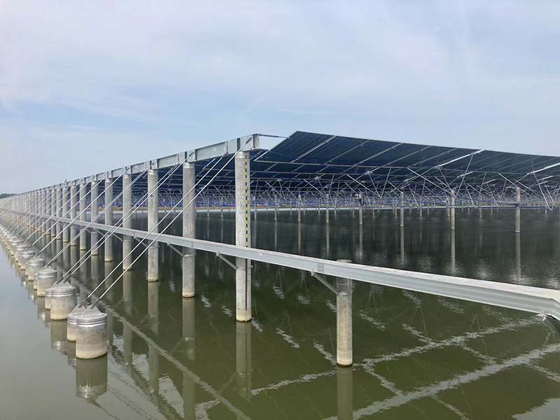 免费观看成人羞羞视频网站