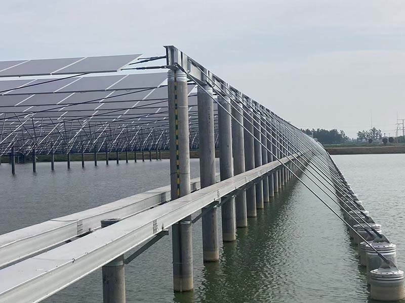 山东男女羞羞视频大全免费厂家