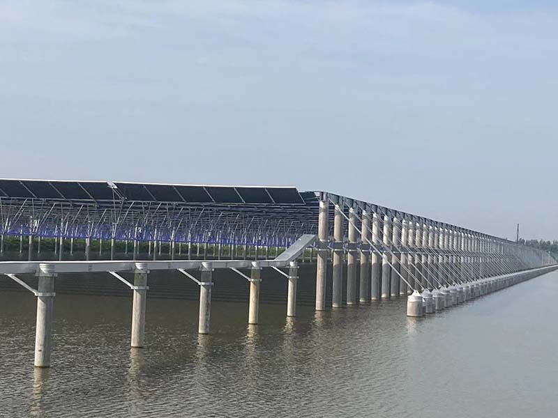 免费观看成人羞羞视频网站